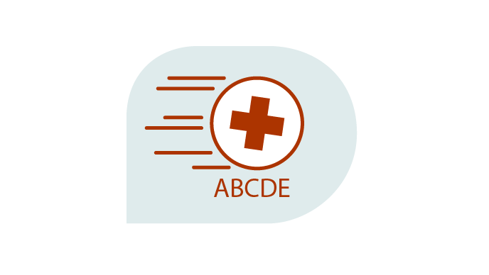 Spoedzorg door toepassen ABCDE-systematiek
