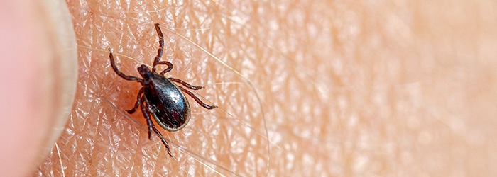 Nieuws weekvandeteek