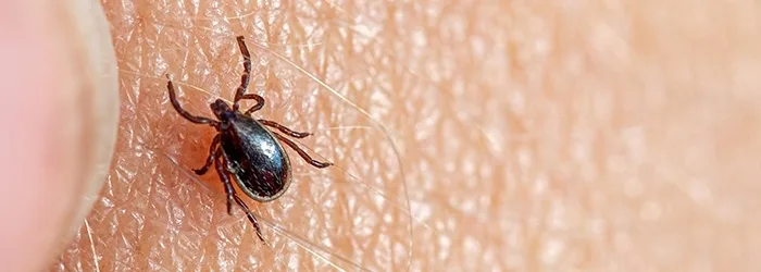 Nieuws weekvandeteek